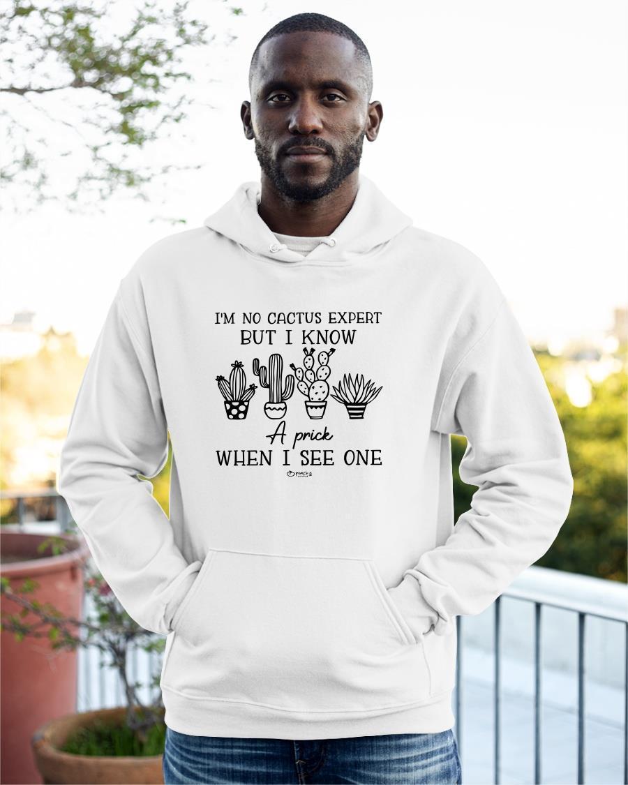 I'm No Cactus Expert But I Know A Prick When I See One Hoodie